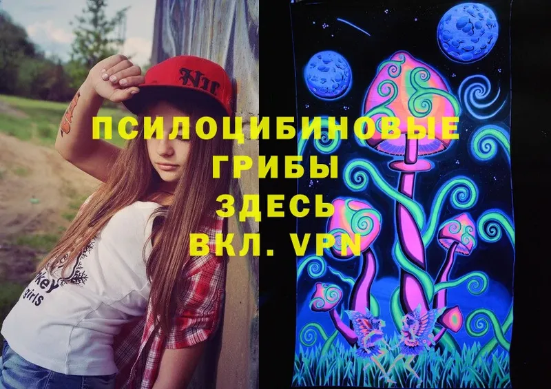 Псилоцибиновые грибы Psilocybine cubensis  Трубчевск 